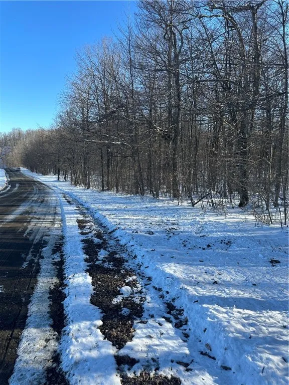 00 Mt Tom Road, Springfield, New York 13468, Springfield, New York 13468, ,Land,For Sale,00 Mt Tom Road, Springfield, New York 13468,0,R1521784