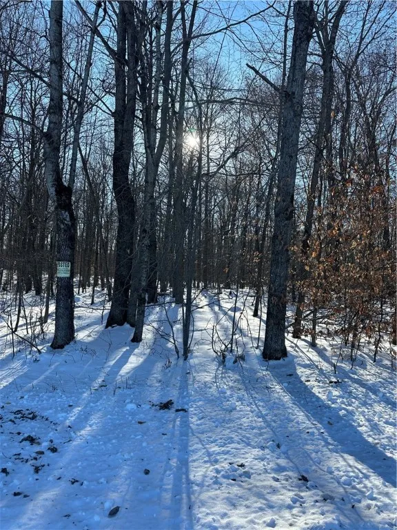 00 Mt Tom Road, Springfield, New York 13468, Springfield, New York 13468, ,Land,For Sale,00 Mt Tom Road, Springfield, New York 13468,0,R1521784