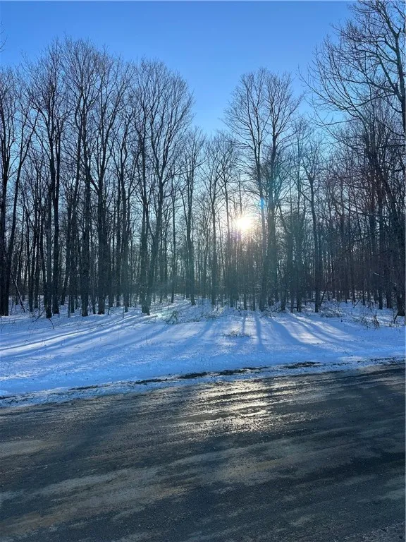 00 Mt Tom Road, Springfield, New York 13468, Springfield, New York 13468, ,Land,For Sale,00 Mt Tom Road, Springfield, New York 13468,0,R1521784