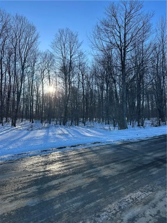 00 Mt Tom Road, Springfield, New York 13468, Springfield, New York 13468, ,Land,For Sale,00 Mt Tom Road, Springfield, New York 13468,0,R1521784