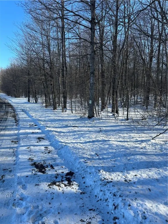 00 Mt Tom Road, Springfield, New York 13468, Springfield, New York 13468, ,Land,For Sale,00 Mt Tom Road, Springfield, New York 13468,0,R1521784