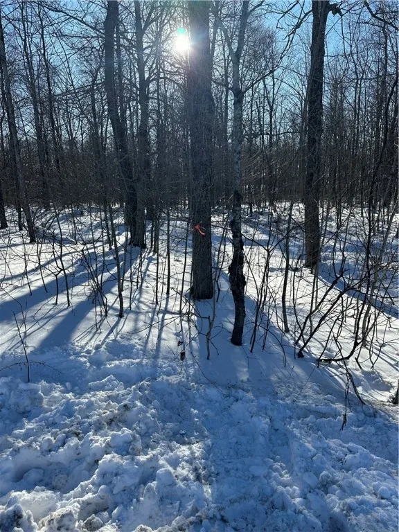 00 Mt Tom Road, Springfield, New York 13468, Springfield, New York 13468, ,Land,For Sale,00 Mt Tom Road, Springfield, New York 13468,0,R1521784