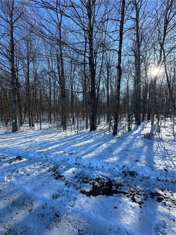 00 Mt Tom Road, Springfield, New York 13468, Springfield, New York 13468, ,Land,For Sale,00 Mt Tom Road, Springfield, New York 13468,0,R1521784