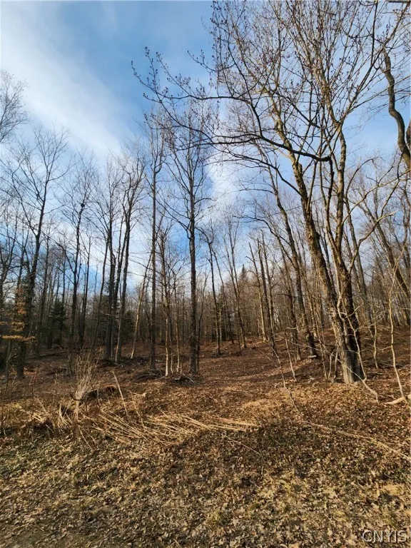 0000 Jess Drive, Redfield, New York 13437, Redfield, New York 13437, ,Land,For Sale,0000 Jess Drive, Redfield, New York 13437,0,S1526269