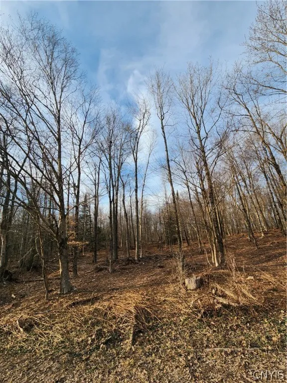 0000 Jess Drive, Redfield, New York 13437, Redfield, New York 13437, ,Land,For Sale,0000 Jess Drive, Redfield, New York 13437,0,S1526269