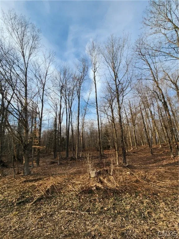 0000 Jess Drive, Redfield, New York 13437, Redfield, New York 13437, ,Land,For Sale,0000 Jess Drive, Redfield, New York 13437,0,S1526269