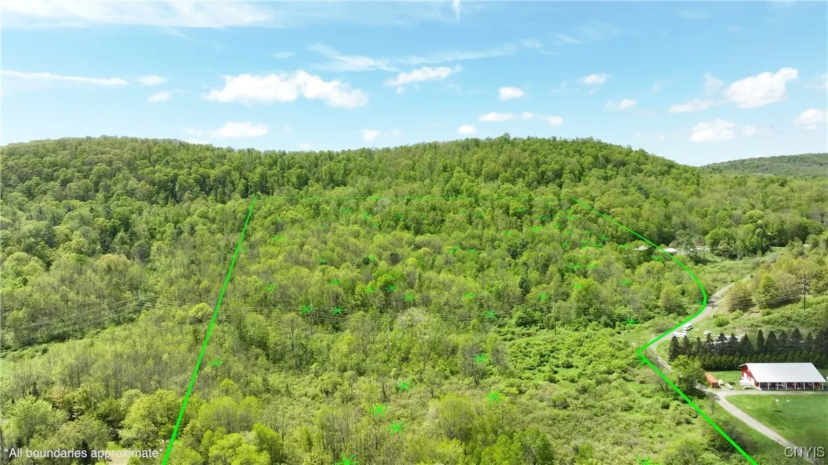 4529 Rt-28, Hartwick, New York 13348, Hartwick, New York 13348, ,Land,For Sale,4529 Rt-28, Hartwick, New York 13348,S1526802