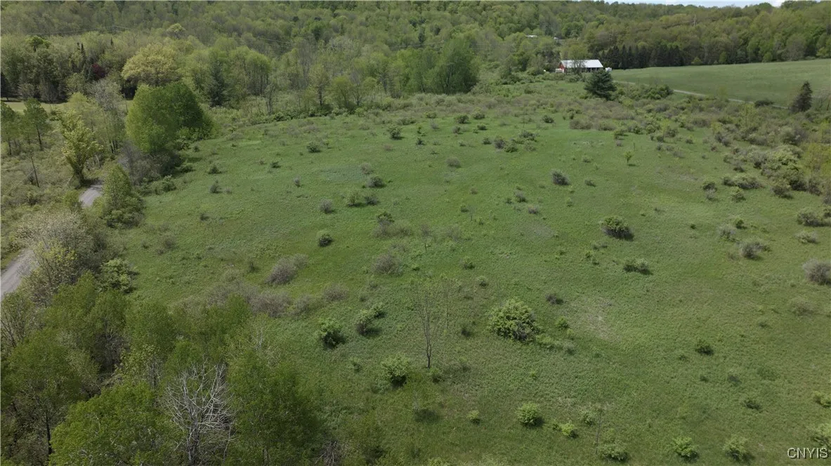 4529 Rt-28, Hartwick, New York 13348, Hartwick, New York 13348, ,Land,For Sale,4529 Rt-28, Hartwick, New York 13348,S1526802