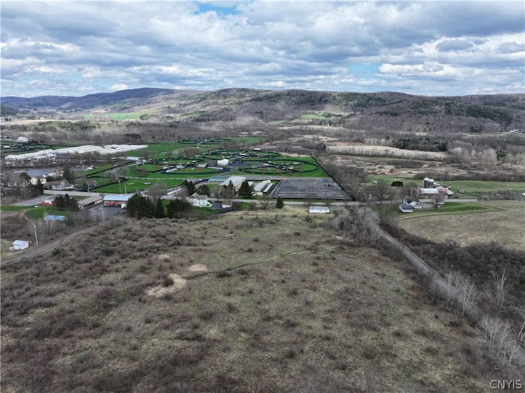 4529 Rt-28, Hartwick, New York 13348, Hartwick, New York 13348, ,Land,For Sale,4529 Rt-28, Hartwick, New York 13348,S1526802