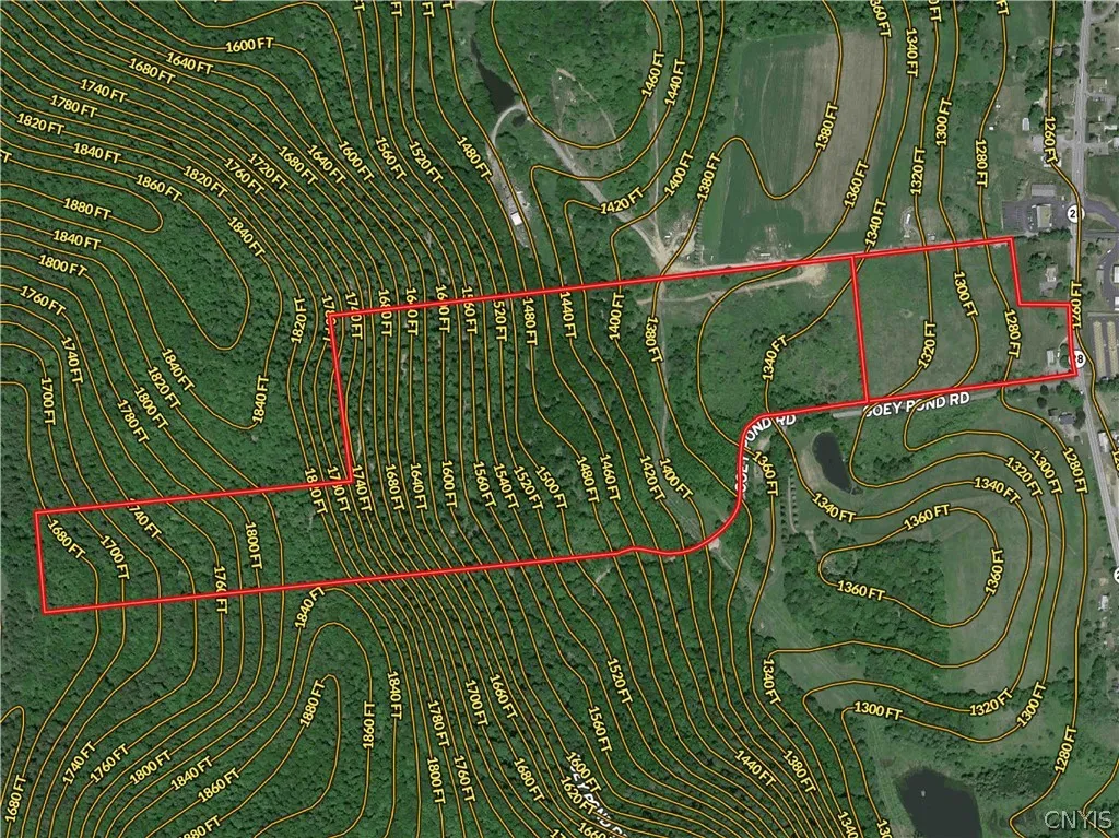 4529 Rt-28, Hartwick, New York 13348, Hartwick, New York 13348, ,Land,For Sale,4529 Rt-28, Hartwick, New York 13348,S1526802