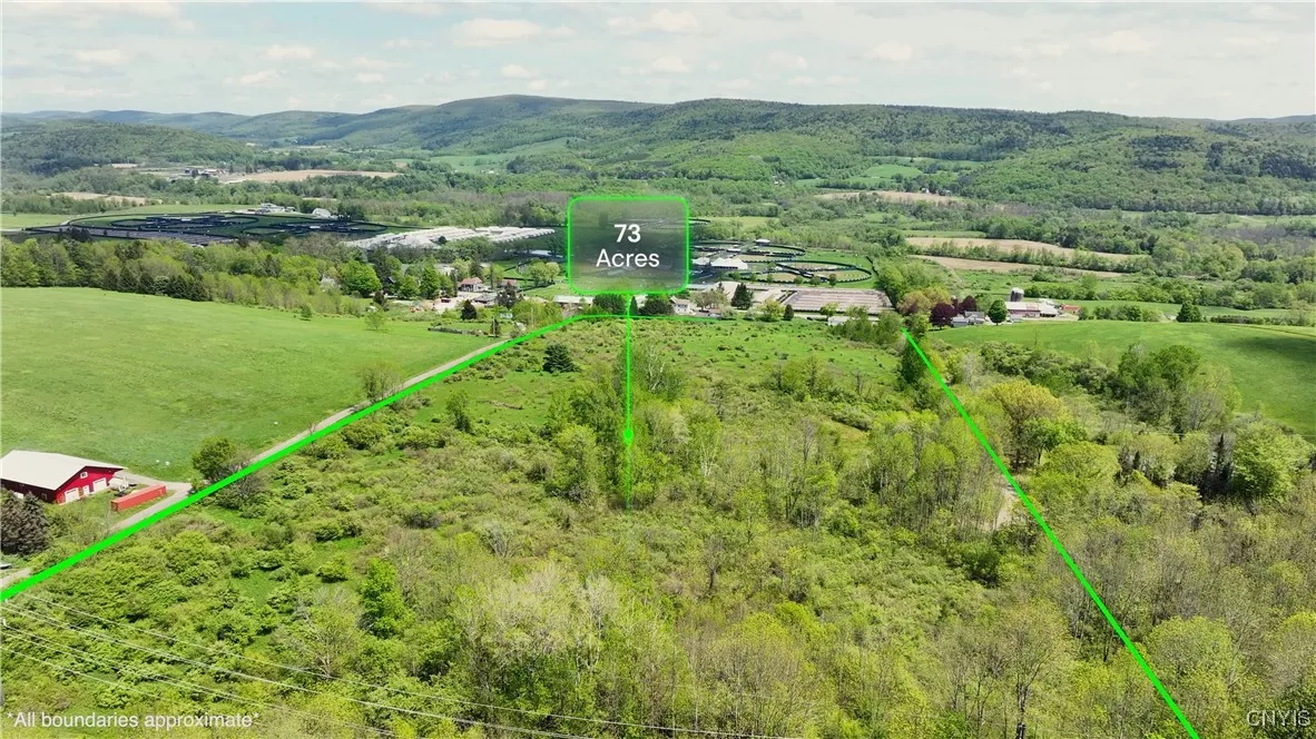 4529 Rt-28, Hartwick, New York 13348, Hartwick, New York 13348, ,Commercial Sale,For Sale,4529 Rt-28, Hartwick, New York 13348,S1526848