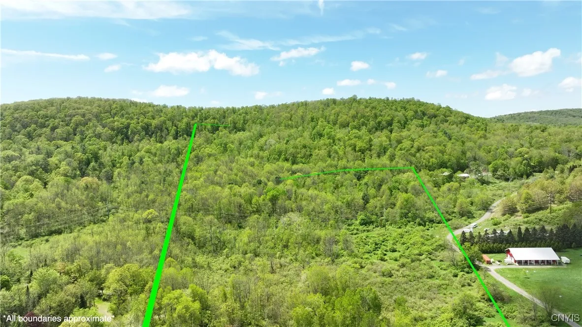 4529 Rt-28, Hartwick, New York 13348, Hartwick, New York 13348, ,Commercial Sale,For Sale,4529 Rt-28, Hartwick, New York 13348,S1526848