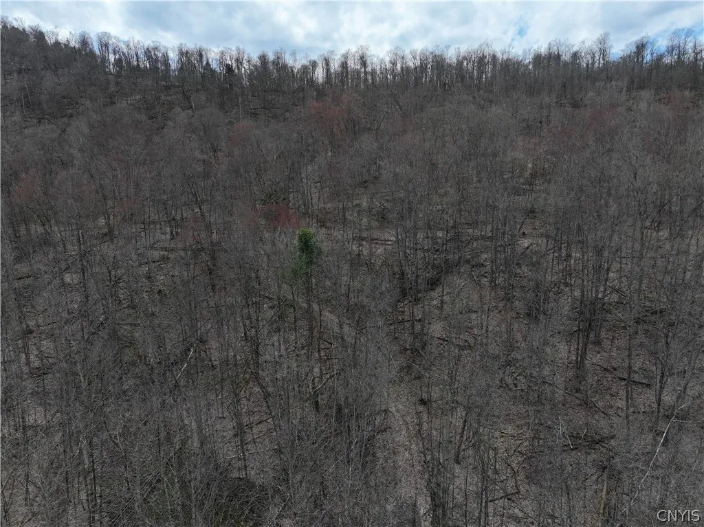4529 Rt-28, Hartwick, New York 13348, Hartwick, New York 13348, ,Commercial Sale,For Sale,4529 Rt-28, Hartwick, New York 13348,S1526848