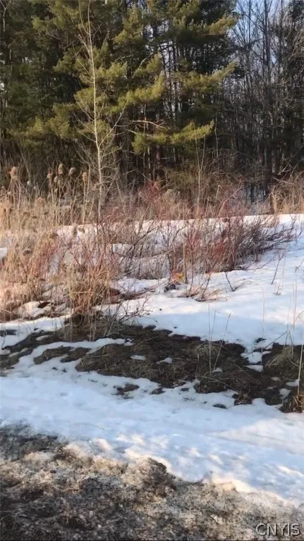 0 Hulser Road, Deerfield, New York 13502, Deerfield, New York 13502, ,Land,For Sale,0 Hulser Road, Deerfield, New York 13502,0,S1529982