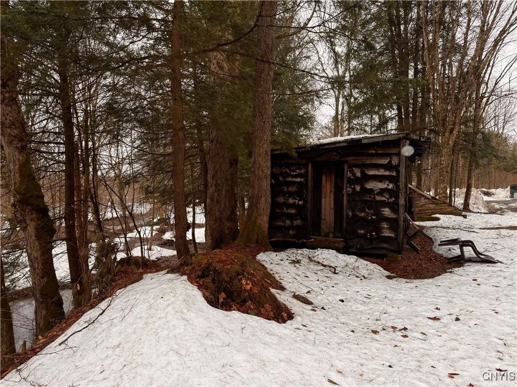 64 Beaver Creek Road, Redfield, New York 13437, Redfield, New York 13437, 1 Bedroom Bedrooms, ,1 BathroomBathrooms,Land,For Sale,64 Beaver Creek Road, Redfield, New York 13437,0,S1532001