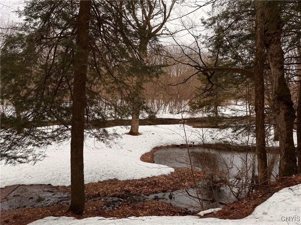 64 Beaver Creek Road, Redfield, New York 13437, Redfield, New York 13437, 1 Bedroom Bedrooms, ,1 BathroomBathrooms,Land,For Sale,64 Beaver Creek Road, Redfield, New York 13437,0,S1532001