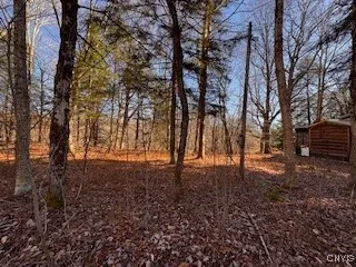 64 Beaver Creek Road, Redfield, New York 13437, Redfield, New York 13437, 1 Bedroom Bedrooms, ,1 BathroomBathrooms,Land,For Sale,64 Beaver Creek Road, Redfield, New York 13437,0,S1532001