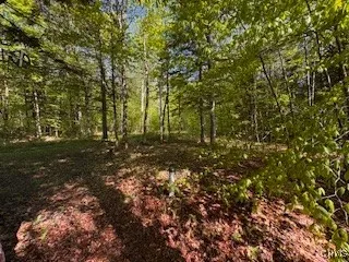 64 Beaver Creek Road, Redfield, New York 13437, Redfield, New York 13437, 1 Bedroom Bedrooms, ,1 BathroomBathrooms,Land,For Sale,64 Beaver Creek Road, Redfield, New York 13437,0,S1532001