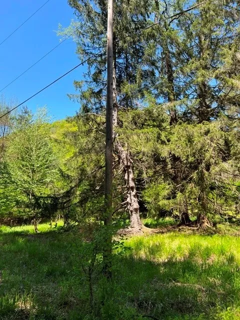 0 Clear Creek Road, Emporium-pa, Pennsylvania 1583, Shippen Twp, Pennsylvania 15834, ,Land,For Sale,0 Clear Creek Road, Emporium-pa, Pennsylvania 1583,0,R1532200 0 Clear Creek Road, Emporium-pa, Pennsylvania 1583, Shippen Twp, Pennsylvania 15834, ,Land,For Sale,0 Clear Creek Road, Emporium-pa, Pennsylvania 1583,0,R1532200