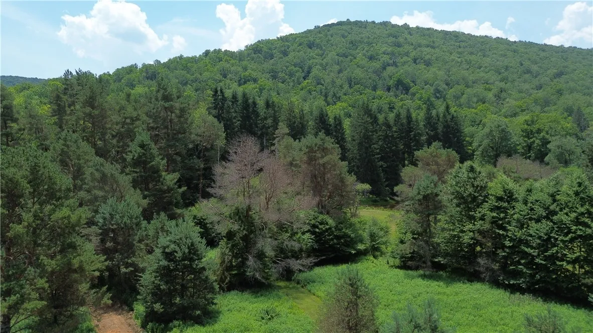 0 Clear Creek Road, Emporium-pa, Pennsylvania 1583, Shippen Twp, Pennsylvania 15834, ,Land,For Sale,0 Clear Creek Road, Emporium-pa, Pennsylvania 1583,0,R1532200 0 Clear Creek Road, Emporium-pa, Pennsylvania 1583, Shippen Twp, Pennsylvania 15834, ,Land,For Sale,0 Clear Creek Road, Emporium-pa, Pennsylvania 1583,0,R1532200