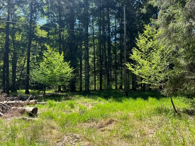 0 Clear Creek Road, Emporium-pa, Pennsylvania 1583, Shippen Twp, Pennsylvania 15834, ,Land,For Sale,0 Clear Creek Road, Emporium-pa, Pennsylvania 1583,0,R1532200 0 Clear Creek Road, Emporium-pa, Pennsylvania 1583, Shippen Twp, Pennsylvania 15834, ,Land,For Sale,0 Clear Creek Road, Emporium-pa, Pennsylvania 1583,0,R1532200