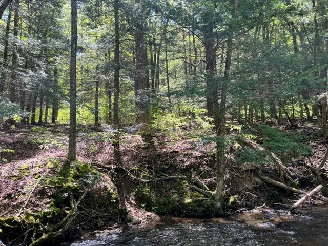 0 Clear Creek Road, Emporium-pa, Pennsylvania 1583, Shippen Twp, Pennsylvania 15834, ,Land,For Sale,0 Clear Creek Road, Emporium-pa, Pennsylvania 1583,0,R1532200 0 Clear Creek Road, Emporium-pa, Pennsylvania 1583, Shippen Twp, Pennsylvania 15834, ,Land,For Sale,0 Clear Creek Road, Emporium-pa, Pennsylvania 1583,0,R1532200