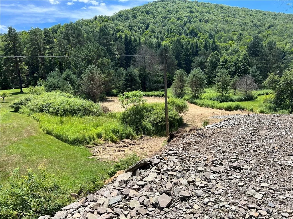 0 Clear Creek Road, Emporium-pa, Pennsylvania 1583, Shippen Twp, Pennsylvania 15834, ,Land,For Sale,0 Clear Creek Road, Emporium-pa, Pennsylvania 1583,0,R1532200 0 Clear Creek Road, Emporium-pa, Pennsylvania 1583, Shippen Twp, Pennsylvania 15834, ,Land,For Sale,0 Clear Creek Road, Emporium-pa, Pennsylvania 1583,0,R1532200