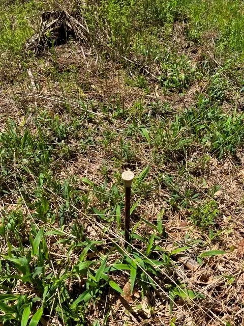 0 Clear Creek Road, Emporium-pa, Pennsylvania 1583, Shippen Twp, Pennsylvania 15834, ,Land,For Sale,0 Clear Creek Road, Emporium-pa, Pennsylvania 1583,0,R1532200 0 Clear Creek Road, Emporium-pa, Pennsylvania 1583, Shippen Twp, Pennsylvania 15834, ,Land,For Sale,0 Clear Creek Road, Emporium-pa, Pennsylvania 1583,0,R1532200