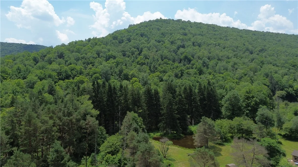 0 Clear Creek Road, Emporium-pa, Pennsylvania 1583, Shippen Twp, Pennsylvania 15834, ,Land,For Sale,0 Clear Creek Road, Emporium-pa, Pennsylvania 1583,0,R1532200 0 Clear Creek Road, Emporium-pa, Pennsylvania 1583, Shippen Twp, Pennsylvania 15834, ,Land,For Sale,0 Clear Creek Road, Emporium-pa, Pennsylvania 1583,0,R1532200