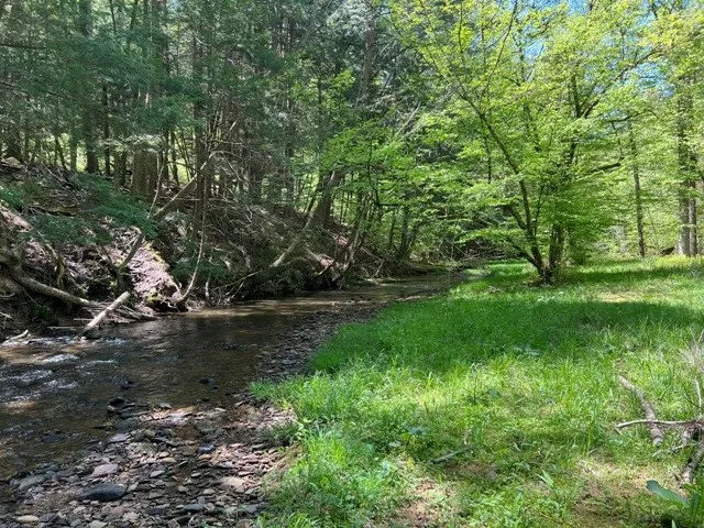 0 Clear Creek Road, Emporium-pa, Pennsylvania 1583, Shippen Twp, Pennsylvania 15834, ,Land,For Sale,0 Clear Creek Road, Emporium-pa, Pennsylvania 1583,0,R1532200