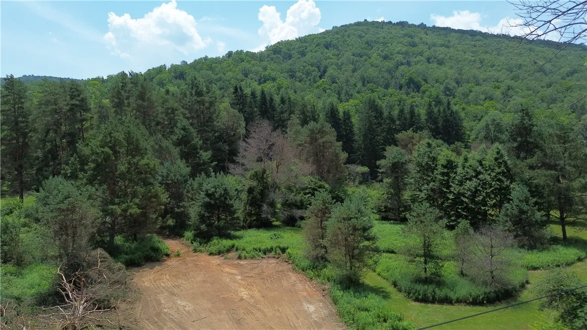 0 Clear Creek Road, Emporium-pa, Pennsylvania 1583, Shippen Twp, Pennsylvania 15834, ,Land,For Sale,0 Clear Creek Road, Emporium-pa, Pennsylvania 1583,0,R1532200 0 Clear Creek Road, Emporium-pa, Pennsylvania 1583, Shippen Twp, Pennsylvania 15834, ,Land,For Sale,0 Clear Creek Road, Emporium-pa, Pennsylvania 1583,0,R1532200