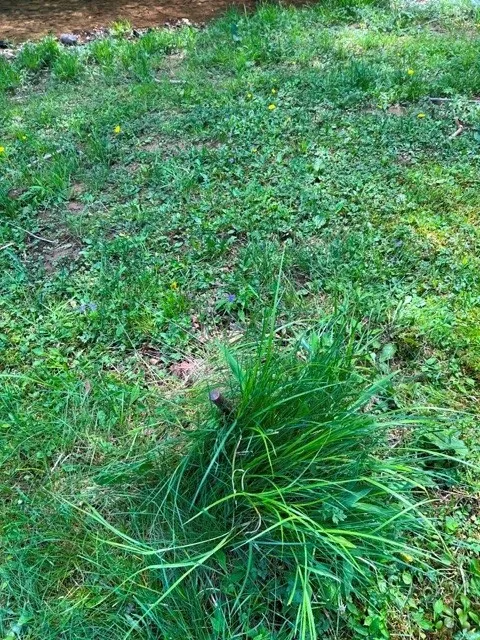 0 Clear Creek Road, Emporium-pa, Pennsylvania 1583, Shippen Twp, Pennsylvania 15834, ,Land,For Sale,0 Clear Creek Road, Emporium-pa, Pennsylvania 1583,0,R1532200 0 Clear Creek Road, Emporium-pa, Pennsylvania 1583, Shippen Twp, Pennsylvania 15834, ,Land,For Sale,0 Clear Creek Road, Emporium-pa, Pennsylvania 1583,0,R1532200