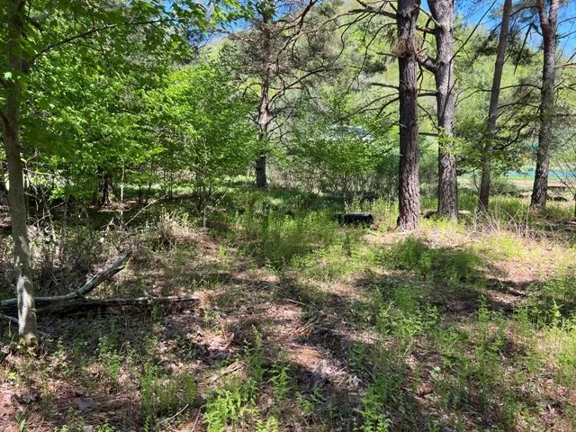 0 Clear Creek Road, Emporium-pa, Pennsylvania 1583, Shippen Twp, Pennsylvania 15834, ,Land,For Sale,0 Clear Creek Road, Emporium-pa, Pennsylvania 1583,0,R1532200 0 Clear Creek Road, Emporium-pa, Pennsylvania 1583, Shippen Twp, Pennsylvania 15834, ,Land,For Sale,0 Clear Creek Road, Emporium-pa, Pennsylvania 1583,0,R1532200