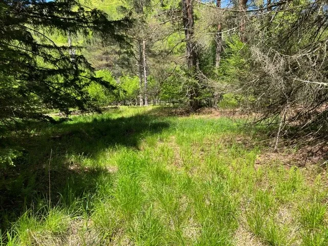 0 Clear Creek Road, Emporium-pa, Pennsylvania 1583, Shippen Twp, Pennsylvania 15834, ,Land,For Sale,0 Clear Creek Road, Emporium-pa, Pennsylvania 1583,0,R1532200 0 Clear Creek Road, Emporium-pa, Pennsylvania 1583, Shippen Twp, Pennsylvania 15834, ,Land,For Sale,0 Clear Creek Road, Emporium-pa, Pennsylvania 1583,0,R1532200