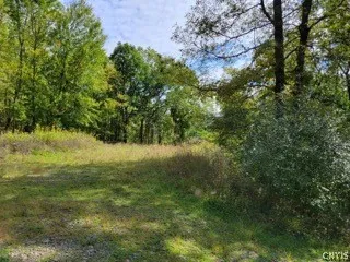 43 Hillcrest Drive, Erwin, New York 14870, Erwin, New York 14870, ,Land,For Sale,43 Hillcrest Drive, Erwin, New York 14870,0,S1532223
