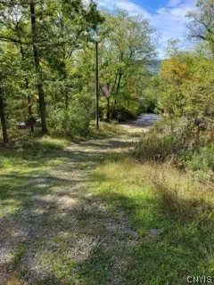 43 Hillcrest Drive, Erwin, New York 14870, Erwin, New York 14870, ,Land,For Sale,43 Hillcrest Drive, Erwin, New York 14870,0,S1532223