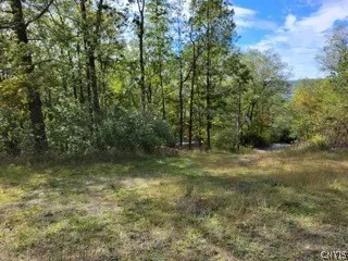 43 Hillcrest Drive, Erwin, New York 14870, Erwin, New York 14870, ,Land,For Sale,43 Hillcrest Drive, Erwin, New York 14870,0,S1532223