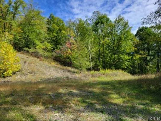 43 Hillcrest Drive, Erwin, New York 14870, Erwin, New York 14870, ,Land,For Sale,43 Hillcrest Drive, Erwin, New York 14870,0,S1532223