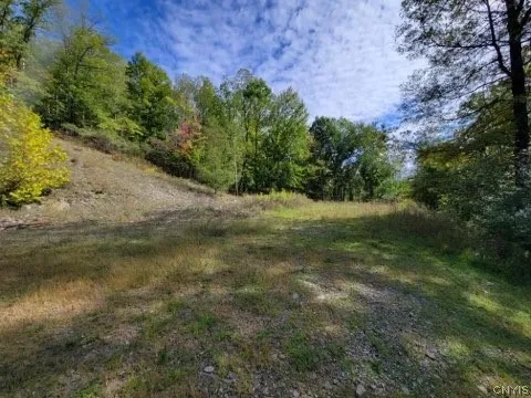 43 Hillcrest Drive, Erwin, New York 14870, Erwin, New York 14870, ,Land,For Sale,43 Hillcrest Drive, Erwin, New York 14870,0,S1532223