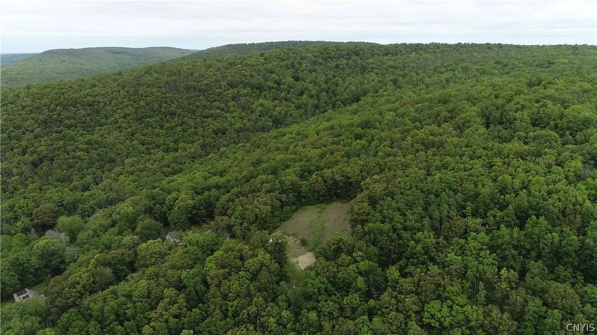43 Hillcrest Drive, Erwin, New York 14870, Erwin, New York 14870, ,Land,For Sale,43 Hillcrest Drive, Erwin, New York 14870,0,S1532223