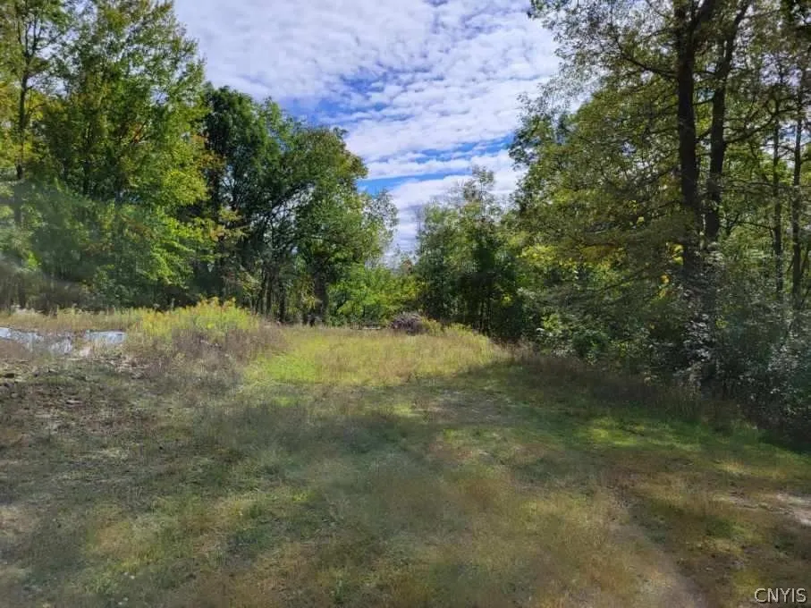 43 Hillcrest Drive, Erwin, New York 14870, Erwin, New York 14870, ,Land,For Sale,43 Hillcrest Drive, Erwin, New York 14870,0,S1532223