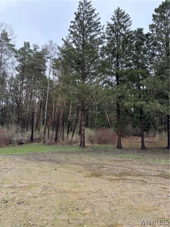 5308 Route 353, Little Valley, New York 14755, Little Valley, New York 14755, 2 Bedrooms Bedrooms, 5 Rooms Rooms,1 BathroomBathrooms,Residential,For Sale,5308 Route 353, Little Valley, New York 14755,B1532710
