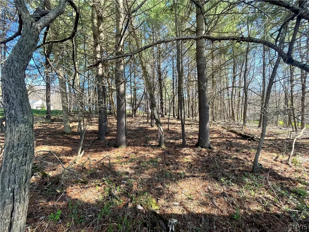 4637 Lot 15 Pauli Drive, Manlius, New York 13104, Manlius, New York 13104, 4 Bedrooms Bedrooms, 10 Rooms Rooms,2 BathroomsBathrooms,Residential,Closed,4637 Lot 15 Pauli Drive, Manlius, New York 13104,0,S1527946