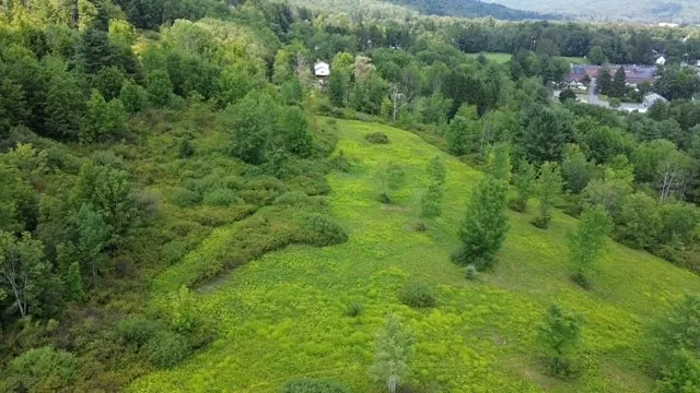 0 Tyler St. And Cornell Drive, Bainbridge, New Yor, Bainbridge, New York 13733, ,Land,For Sale,0 Tyler St. And Cornell Drive, Bainbridge, New Yor,0,R1535321