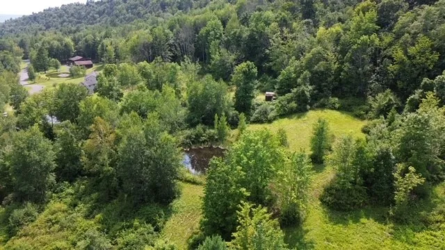 0 Tyler St. And Cornell Drive, Bainbridge, New Yor, Bainbridge, New York 13733, ,Land,For Sale,0 Tyler St. And Cornell Drive, Bainbridge, New Yor,0,R1535321