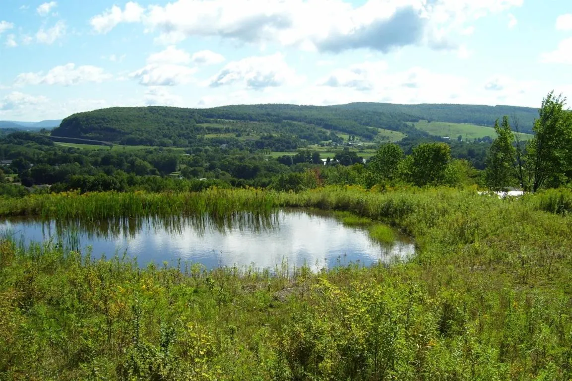 0 Tyler St. And Cornell Drive, Bainbridge, New Yor, Bainbridge, New York 13733, ,Land,For Sale,0 Tyler St. And Cornell Drive, Bainbridge, New Yor,0,R1535321