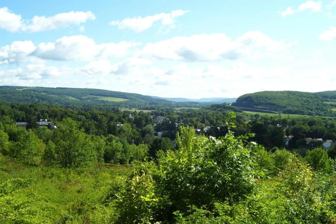 0 Tyler St. And Cornell Drive, Bainbridge, New Yor, Bainbridge, New York 13733, ,Land,For Sale,0 Tyler St. And Cornell Drive, Bainbridge, New Yor,0,R1535321