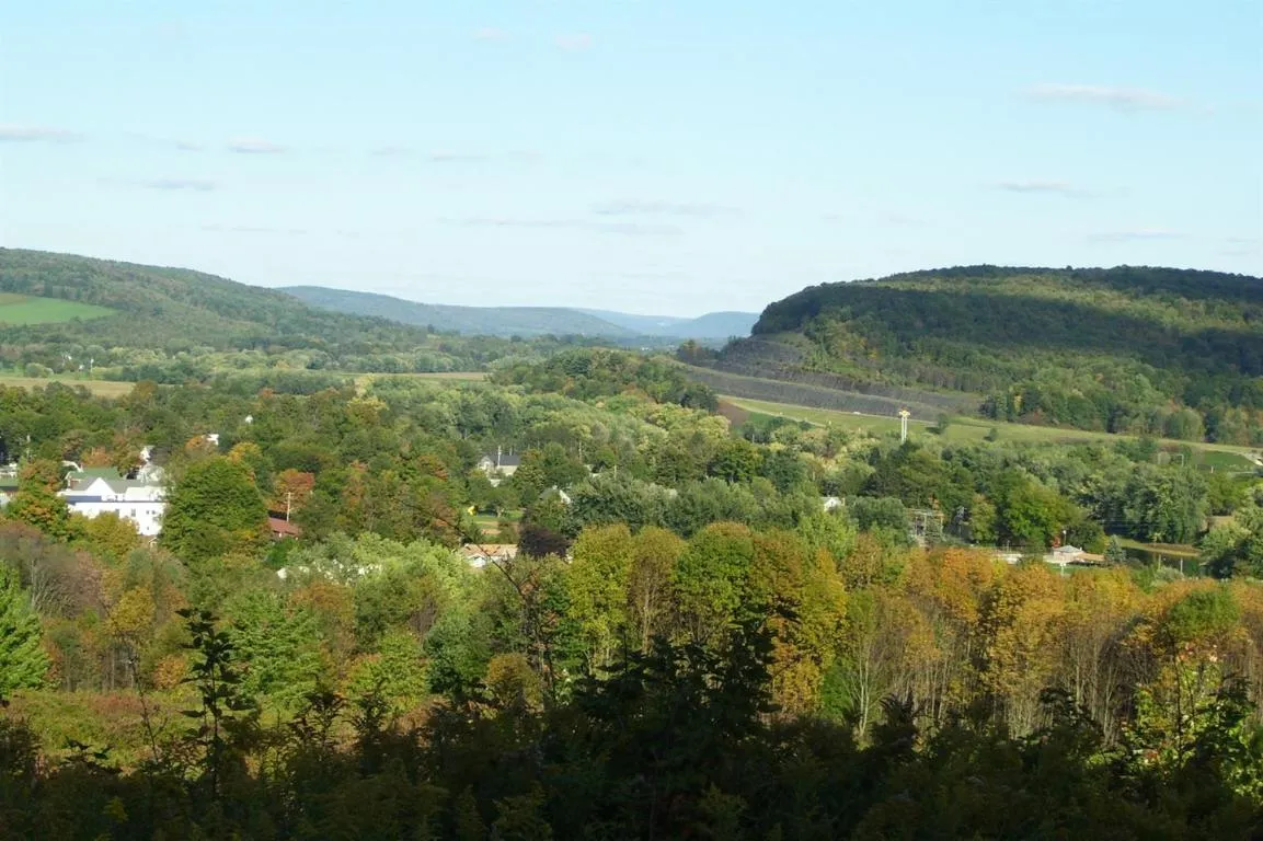 0 Tyler St. And Cornell Drive, Bainbridge, New Yor, Bainbridge, New York 13733, ,Land,For Sale,0 Tyler St. And Cornell Drive, Bainbridge, New Yor,0,R1535321