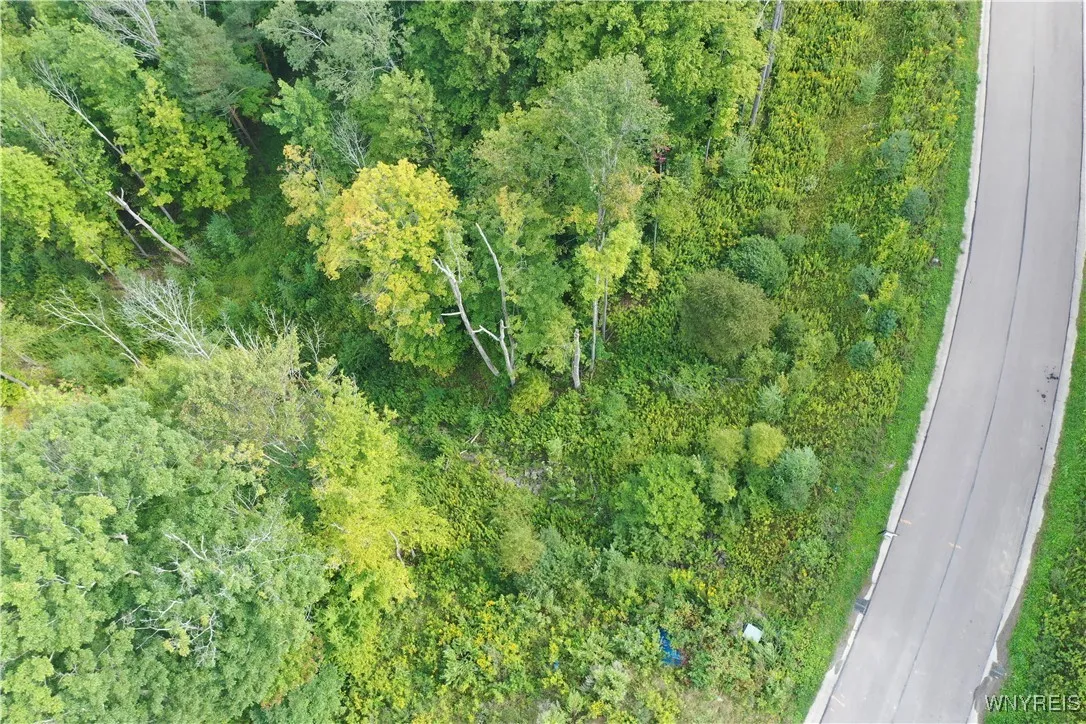 20 Fresh Tracks Way 20, Mansfield, New York 14731, Mansfield, New York 14731, ,Land,For Sale,20 Fresh Tracks Way 20, Mansfield, New York 14731,B1535933