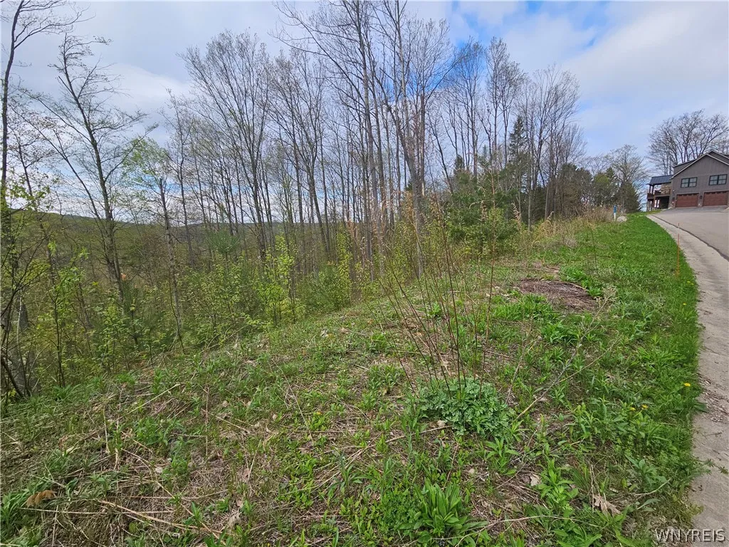 20 Fresh Tracks Way 20, Mansfield, New York 14731, Mansfield, New York 14731, ,Land,For Sale,20 Fresh Tracks Way 20, Mansfield, New York 14731,B1535933